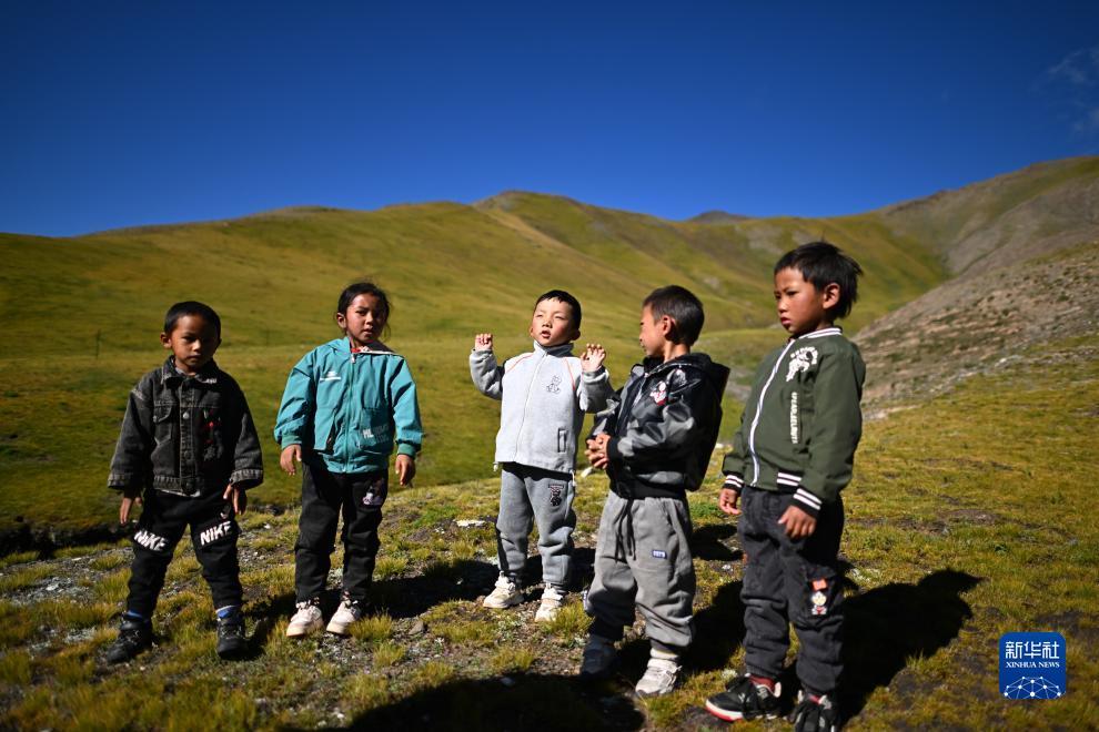 永利打鱼平台